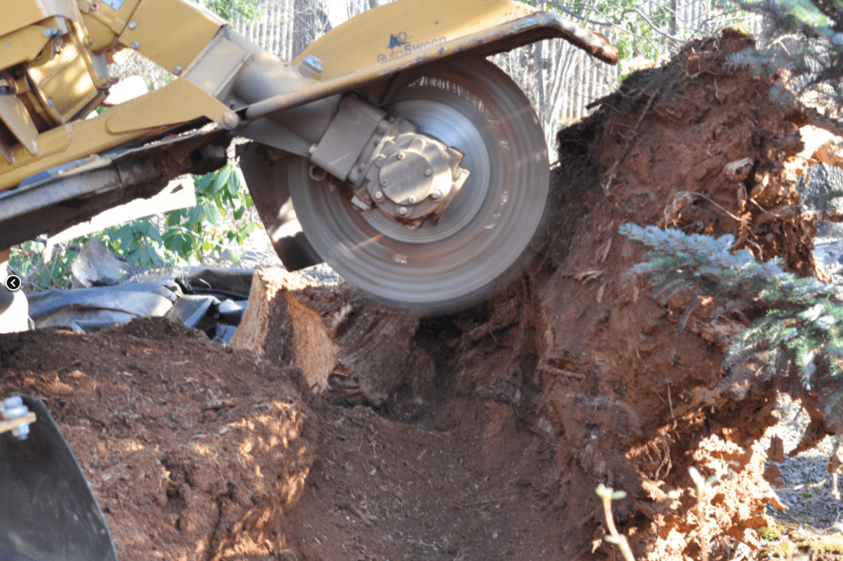 Genesis Tree Service Woodbridge VA - Free Quotes 571-206-8900
